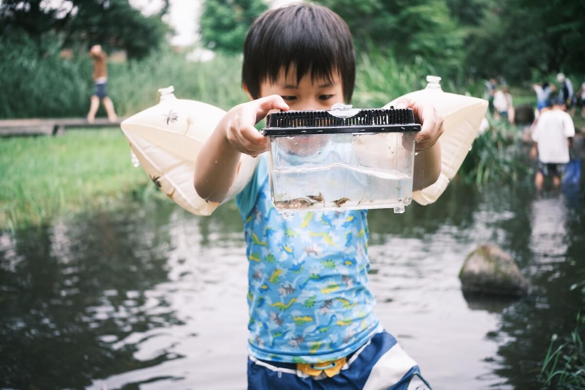 流山市・野々下水辺公園で見つけた水中の生きものを見せてくれる男の子。夢中で遊ぶ子どもの姿が印象的な一枚
