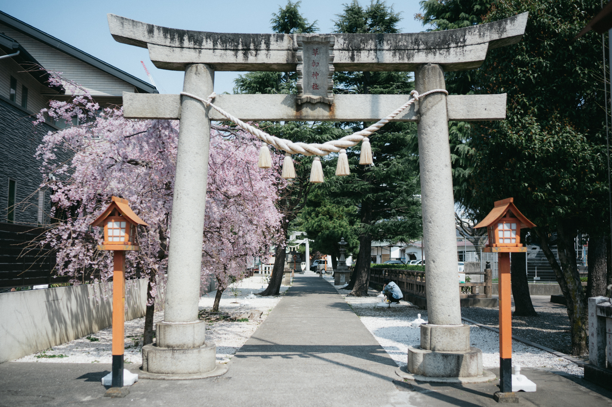 草加神社の鳥居と参道 七五三で訪れる家族に人気の神社